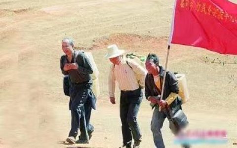 四群教育内容是什么，四群教育工作