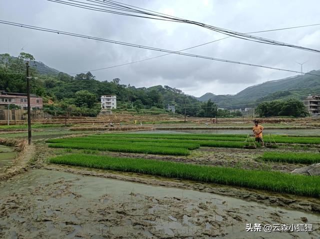 二年级暑假趣事100字，二年级暑假趣事100字左右！