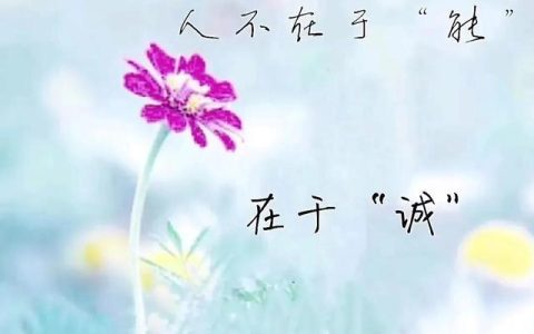 七言诗七句大全500首，七言古诗大全500首8句！