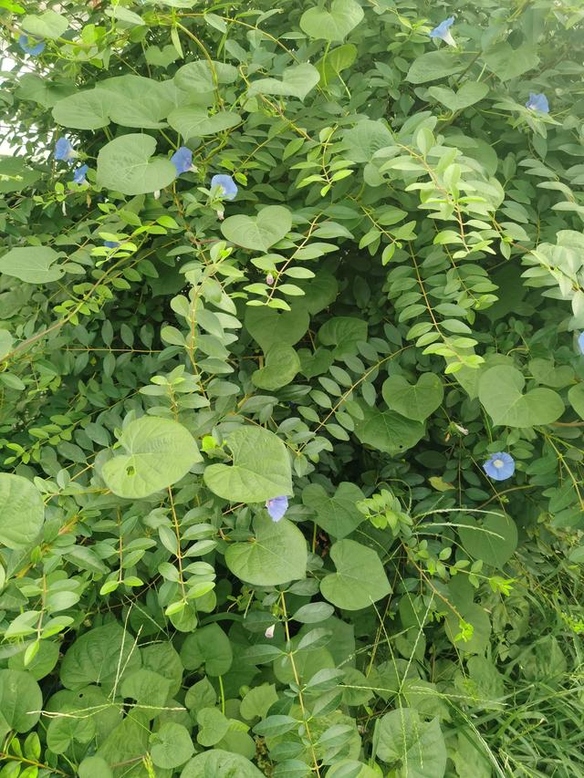 难忘的一天作文400字四年级(在游乐场一)，难忘的一天作文400字四年级写景！