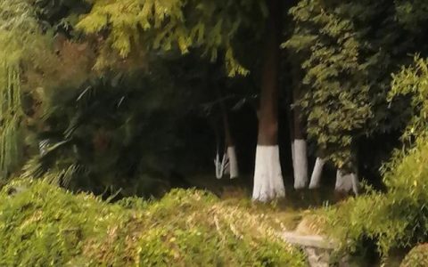 人与自然作文600字初一，人与自然作文600字初二！