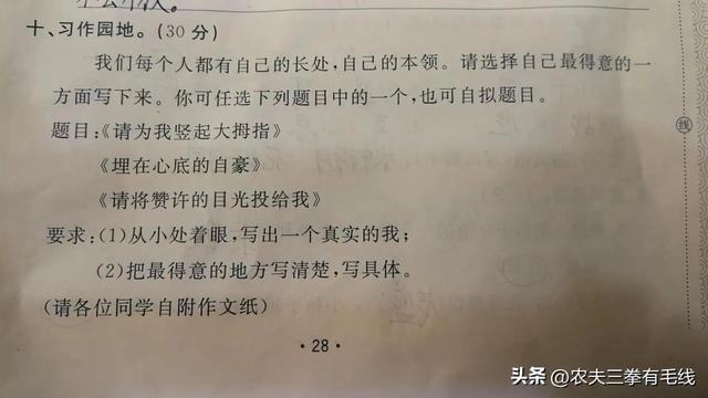 昆虫记四年级读后感400字，四年级读后感400字优秀作文！