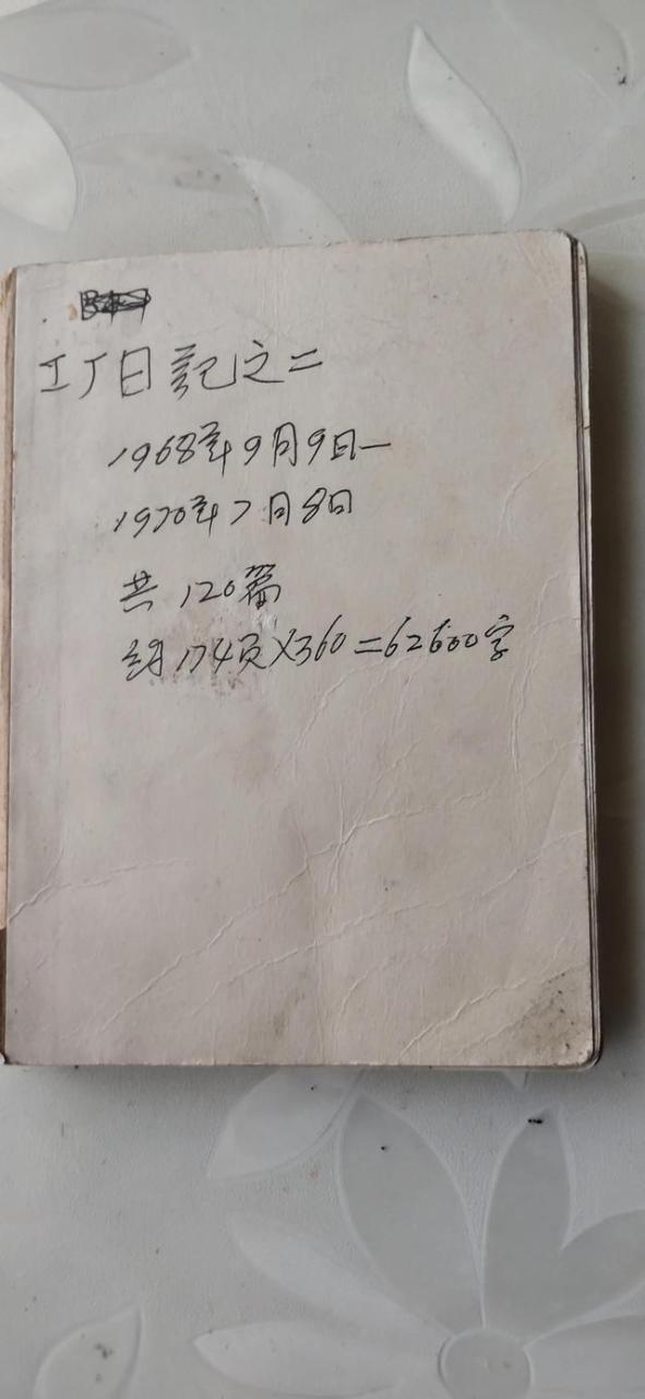 观察日记600字_四年级，观察日记600字_四年级绿豆！