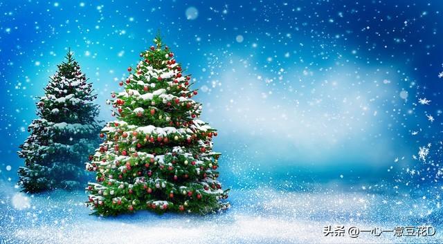 盼雪的诗，盼雪的诗句！