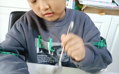 观察日记大全100字左右小鸡，观察日记大全100字左右！