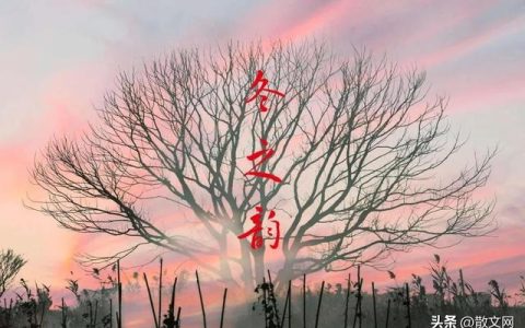 冬之韵作文，冬之韵作文600字初中！