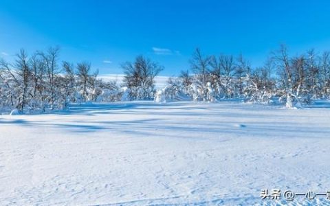 盼雪的诗，盼雪的诗句！