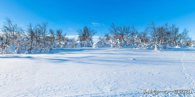 盼雪的诗，盼雪的诗句！