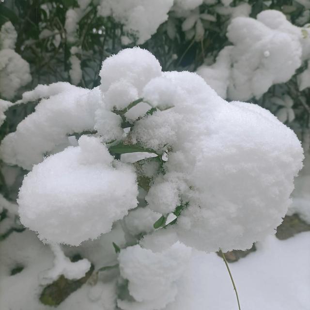 一起堆雪人看图写话，小朋友一起堆雪人看图写话！