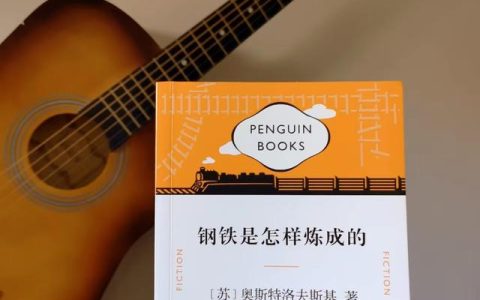 读钢铁是怎样炼成的有感800字，读钢铁是怎样炼成的有感800字初二！