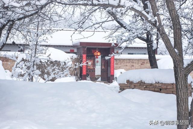 下雪日记300字左右三年级，三年级日记下雪300字左右！