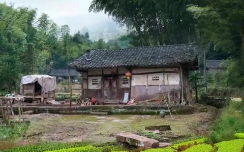 青春的味道半命题作文600字，什么什么的味道半命题作文600字！