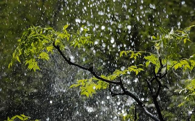 五年级上册第七单元习作雨中即景