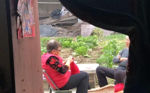 闲不住的奶奶作文400字围绕中心写，闲不住的妈妈作文600字围绕中心写！