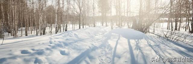 下雪日记300字左右三年级，三年级日记下雪300字左右！