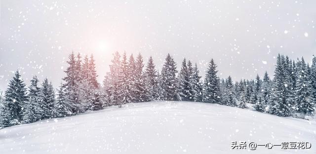 盼雪的诗，盼雪的诗句！