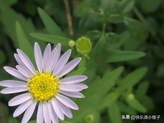 游泳作文600字初中作文，游泳作文600字初中作文大全！