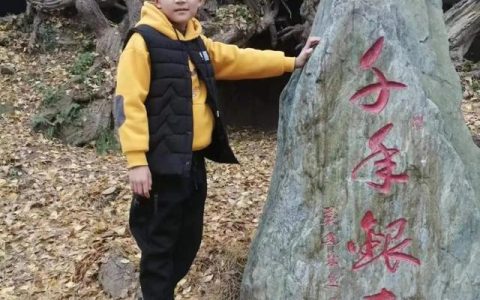放飞梦想演讲稿600字，放飞梦想演讲稿600字大学生！