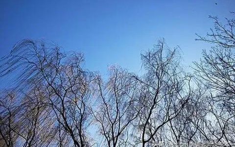 图片美景，一张美丽的风景图片！