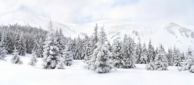 类似程门立雪的故事有哪些，雪的故事有哪些名字！