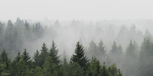 关于雨的散文诗句，关于雨的散文诗片段！