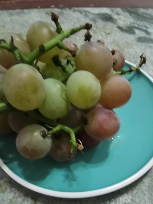 葡萄作文300字，葡萄作文300字三年级！