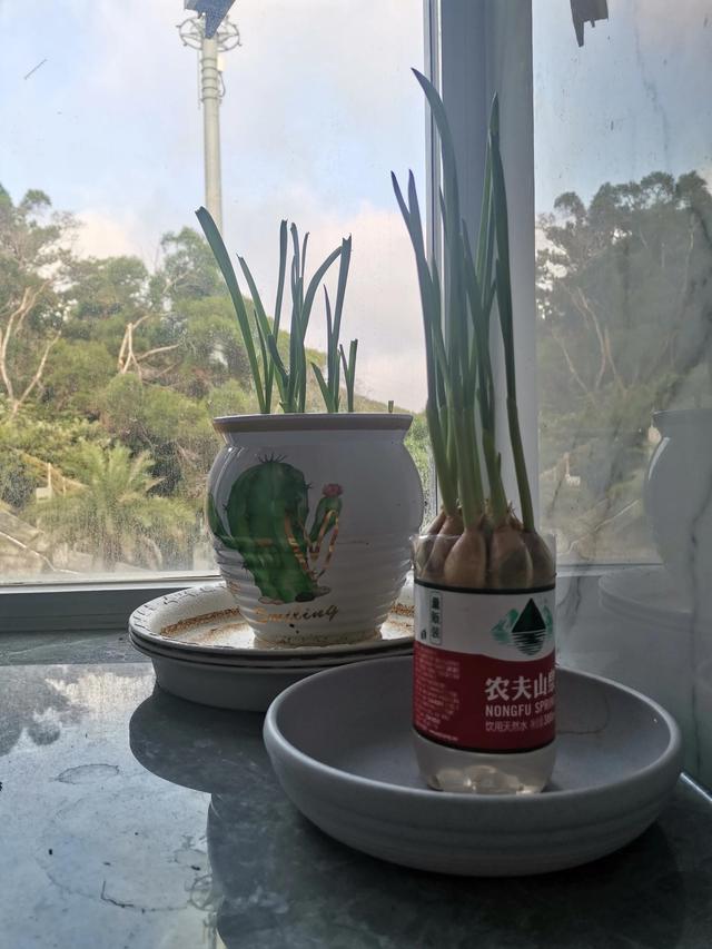 祝母亲生日的祝福语短句，祝母亲生日的祝福语短句八个字！