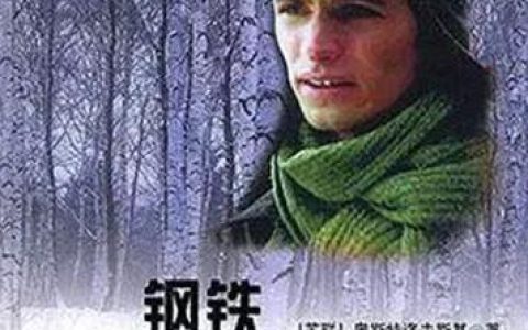读钢铁是怎样炼成的有感800字高中作文，读钢铁是怎样炼成的有感800字左右！