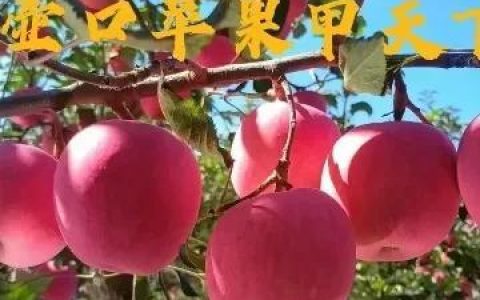 感谢客户的话语_暖心发朋友圈，感谢客户的话语暖心发朋友圈！