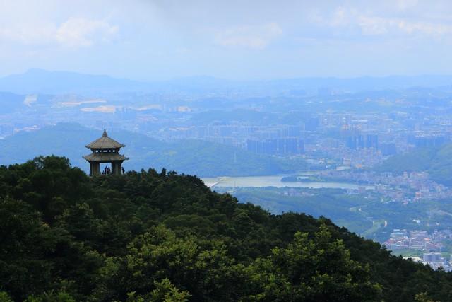 半山腰的风景黄旭评价，半山腰的风景黄旭原版