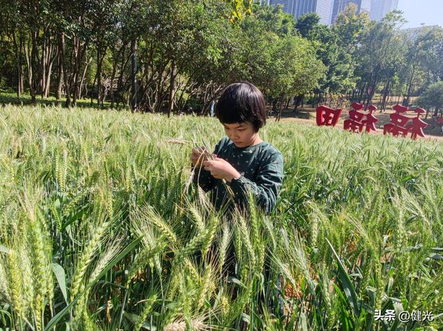 新年感想简短100字，新年_感想