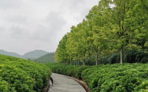 人生感恩的句子经典，感恩相识_珍惜相遇语句