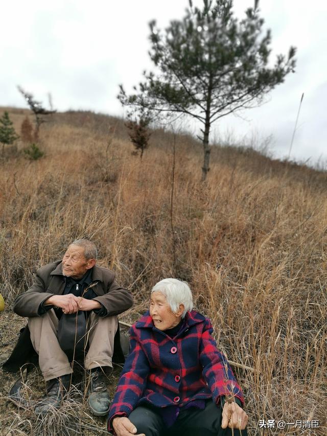 追逐作文600字，追逐作文600字袁隆平