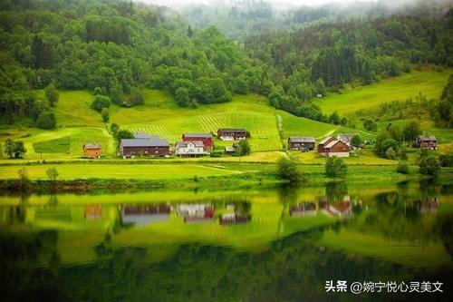 心灵美文短篇，心理美文《心若向阳》