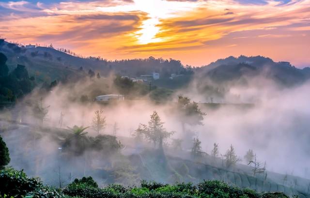 半山腰的风景黄旭评价，半山腰的风景黄旭原版