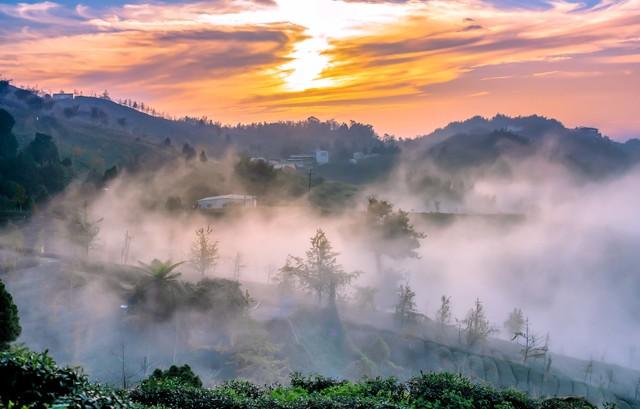 半山腰的风景黄旭评价，半山腰的风景黄旭原版