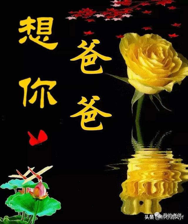 爸爸我想对你说500字作文，爸爸我想对你说500字作文戒烟