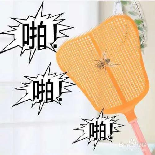 匆匆课件ppt部编版赣教云，匆匆课件ppt部编版图片