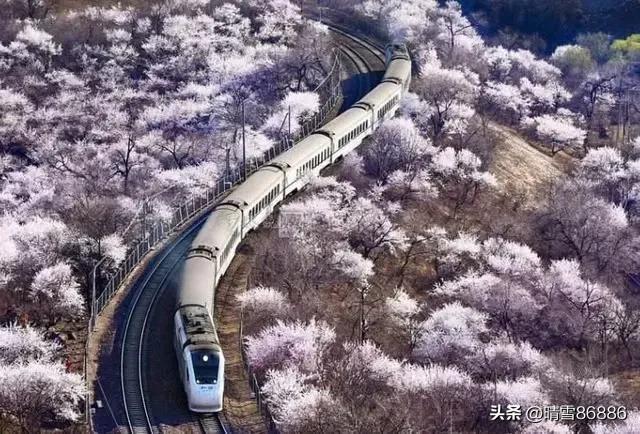 北京的春天课堂笔记，北京的春天课堂笔记图片