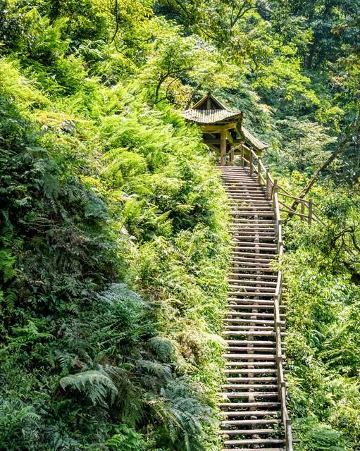 半山腰的风景黄旭评价，半山腰的风景黄旭原版