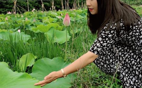 爱的独白经典句子，爱的独白经典句子摘抄