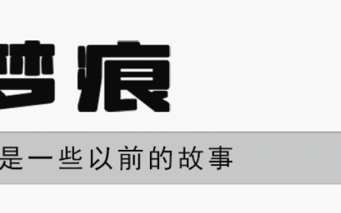杀猪记作文，杀猪记作文600