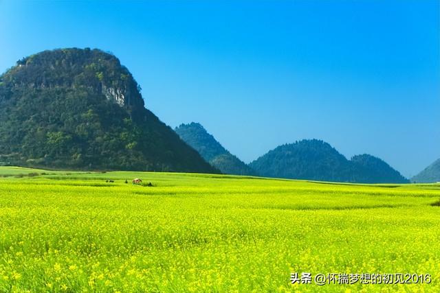 升学宴主持词，升学宴主持词简短奢华大气