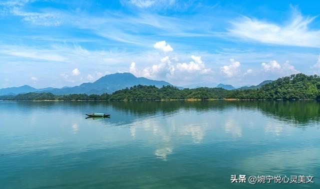 心灵美文短篇，心理美文《心若向阳》