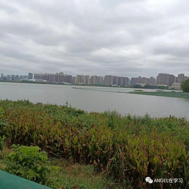 022年计划生育新政策，计划生育新政策三胎"
