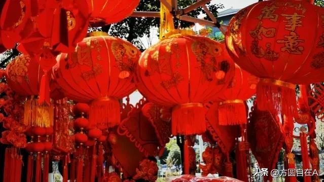 杀猪记日记，杀猪季作文