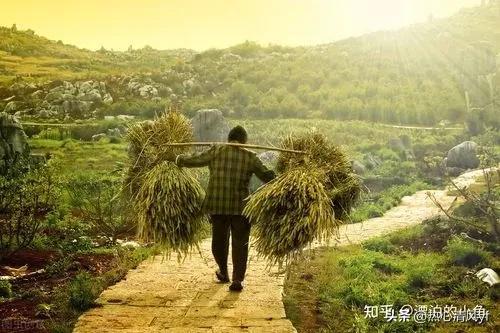 爸爸我想对你说500字作文，爸爸我想对你说500字作文戒烟