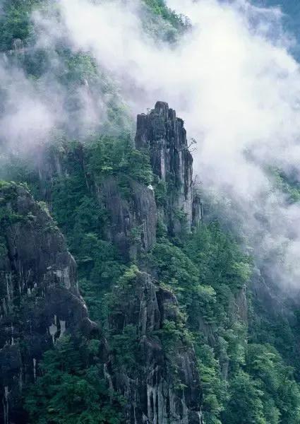 表达对未来很迷茫的诗句，表示未来可期的诗句