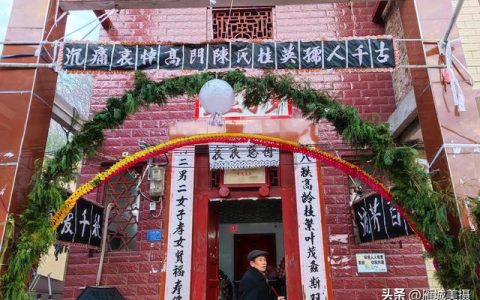追悼词母亲通俗感人，追悼词母亲通俗感人句子