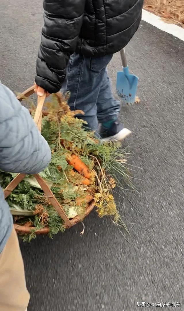 体验大自然的感悟和心情大学作文，体验大自然的感悟和心情作文